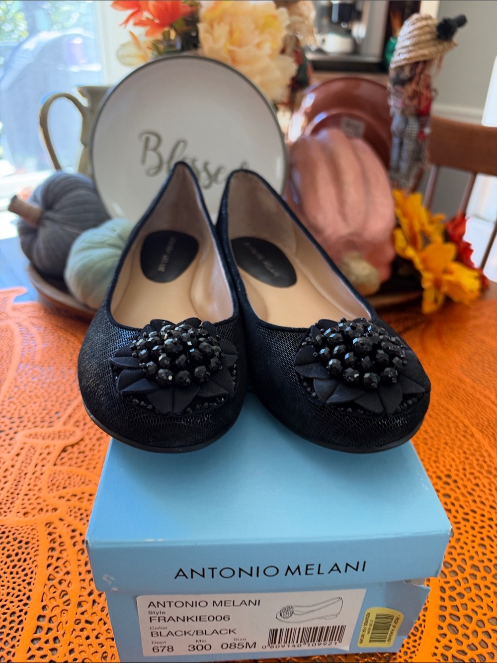 Antonio Melani Ballet Flats - size 8.5